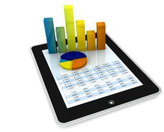 Business Report 1 Year-