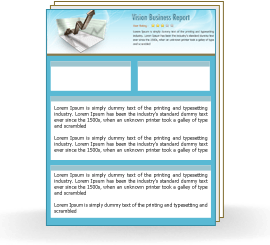 Vision Business Report