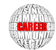 Career Report 2 Year