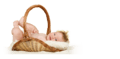 In-depth Progeny/Child Report