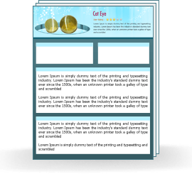 Lasuniya/Cats Eye Grade 4