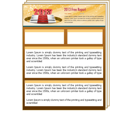 2013 YEARLY REPORT