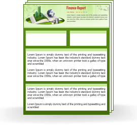 Finance Report 1 year