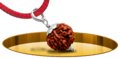 Nine Mukhi Rudraksh - In Thread