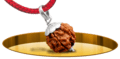 Seven Mukhi Rudraksh - In Thread